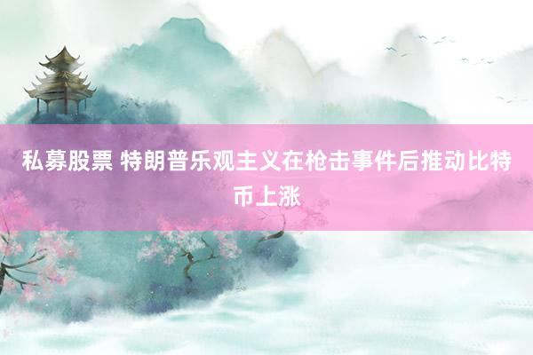 私募股票 特朗普乐观主义在枪击事件后推动比特币上涨